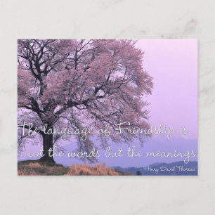 Friendship Quote 1 - Cherry Blossom Tree Postcards