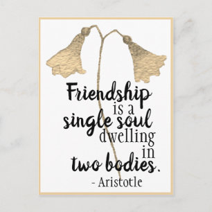 Friendship Quote Flowers Postcard