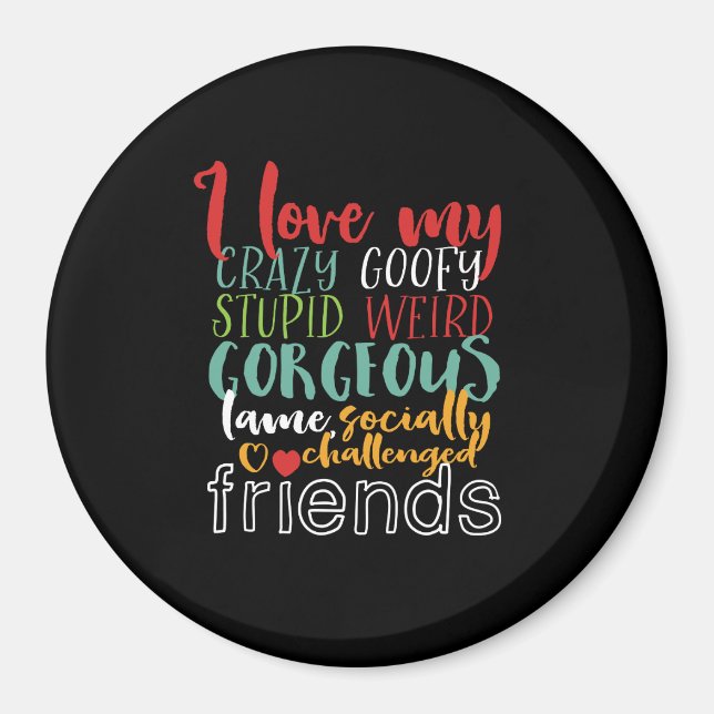 Friendship Quote I Love My Crazy Goofy Friends Magnet (Front)