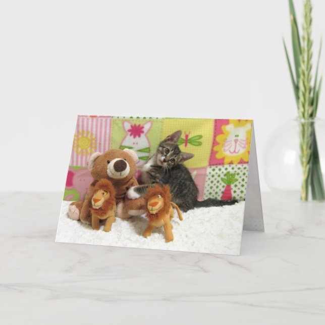 Friendship Tabby Kitty Greeting Card (Front)