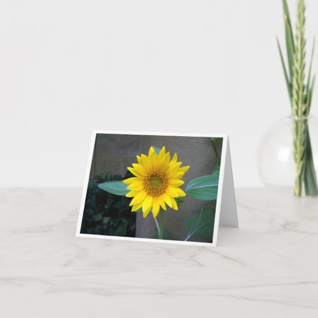 Friendship, thank you, birthday, sunflower card (Front)