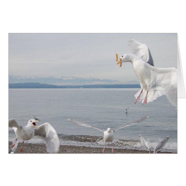 fries (Front Horizontal)