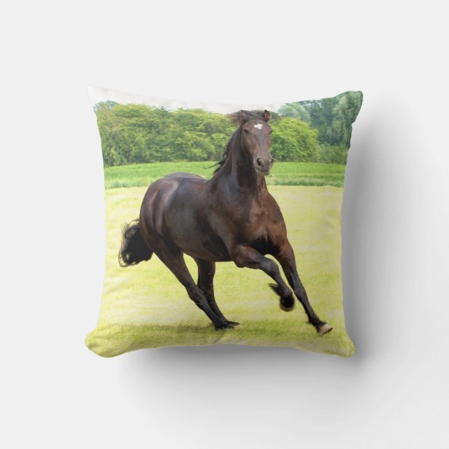friesian-12.jpg cushion (Front)