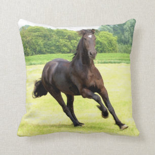 friesian-12.jpg cushion