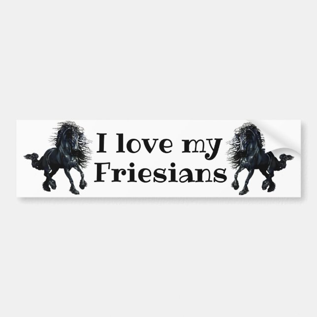 Friesian, black stallion, I love my Friesians Bumper Sticker (Front)