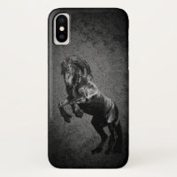 Friesian black stallion, the black beauty, horse