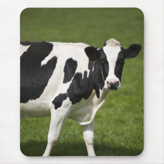 Friesian cow mouse mat (Front)