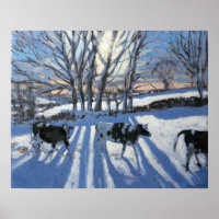 Friesian Cows 2009