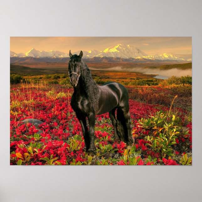 Friesian DIAMOND I - Poster (Front)