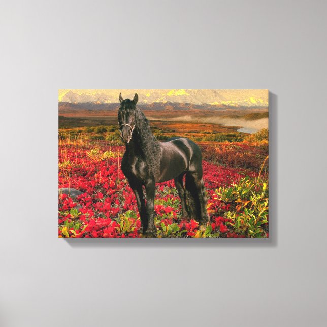 Friesian DIAMOND I - Wrapped Canvas (Front)