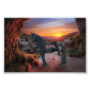 Friesian DIAMOND - Photo Print