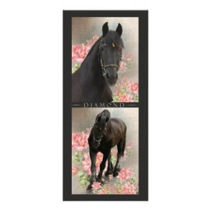 Friesian DIAMOND - Rack / Postcard Rack Card