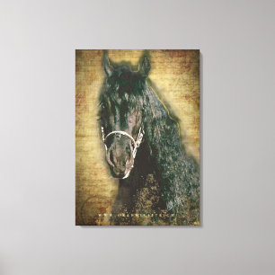 Friesian DIAMOND - Wrapped Canvas