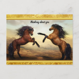 Friesian Draught Horses in a rocky mountain valley Postcard