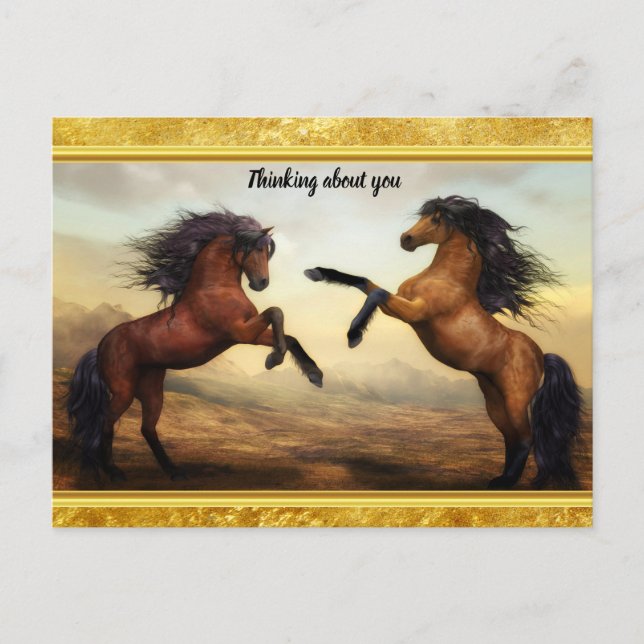 Friesian Draught Horses in a rocky mountain valley Postcard (Front)