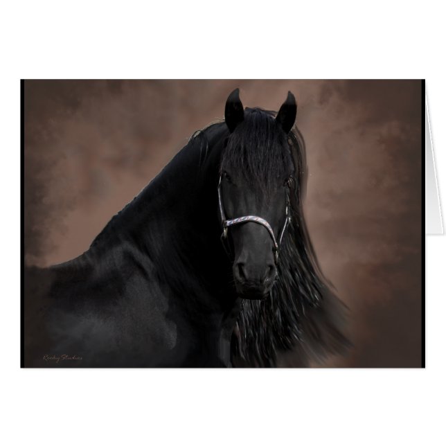 Friesian Flair (Front Horizontal)