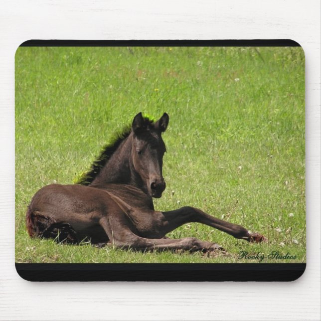 Friesian foal mousepad (Front)