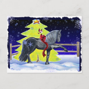 Friesian Holiday