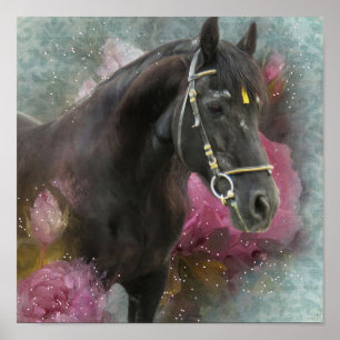 Friesian Horse - Art Print