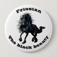 Friesian horse, black beauty stallion