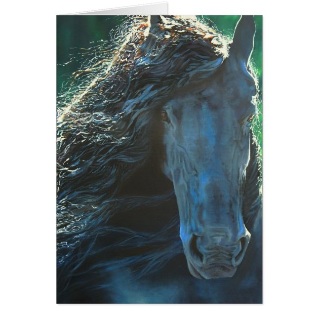 Friesian horse, black stallion (Front)