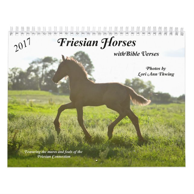 Friesian Horse Calendar with Bible Verses (Cover)