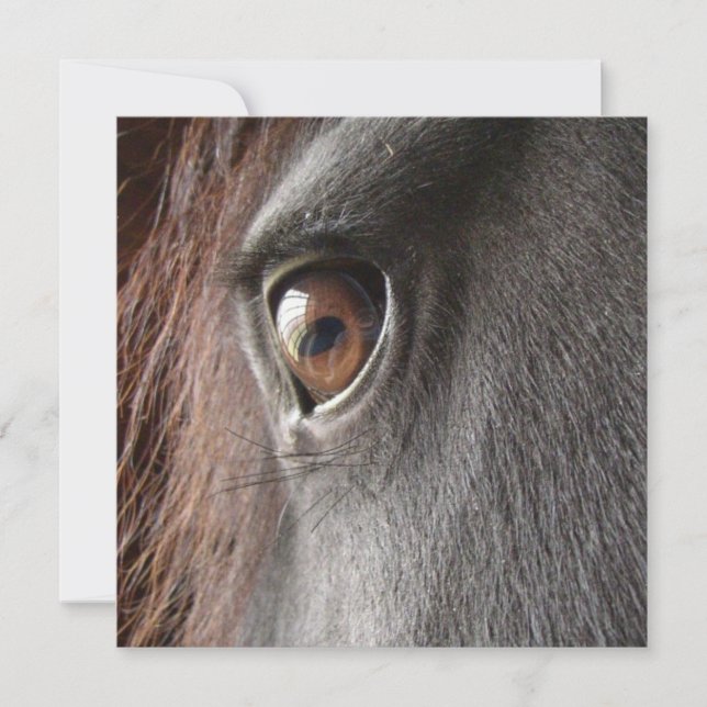 Friesian Horse Eye Invitation (Front)