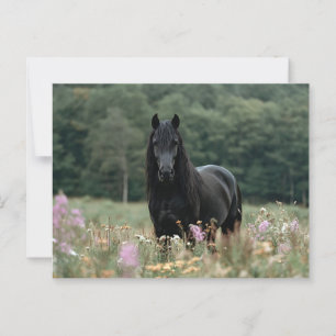 Friesian Horse in a Wildflower Field Postcard