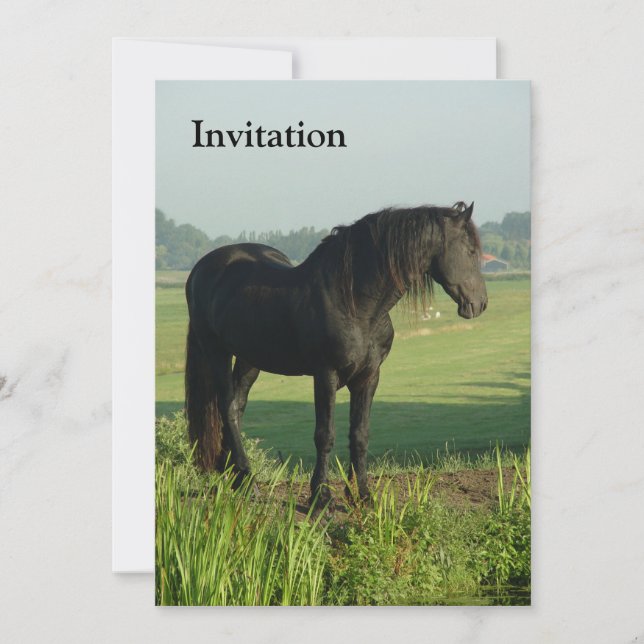 Friesian Horse Invitation (Front)