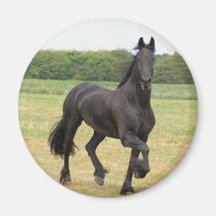 Friesian Horse Magnet