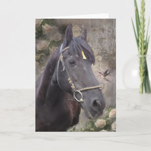 Friesian Horse Portrait - Greeting Card