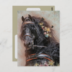 Friesian Horse - Postcard