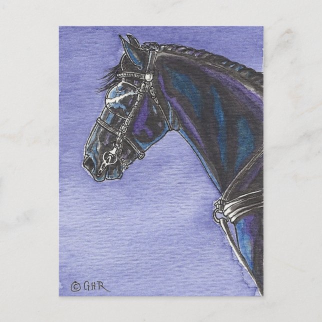 Friesian Horse Postcard (Front)