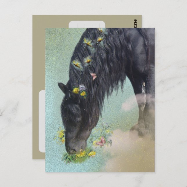 Friesian Horse - Postcard (Front/Back)