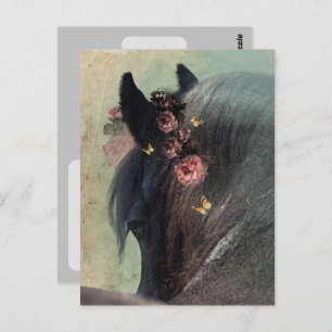 Friesian Horse - Postcard