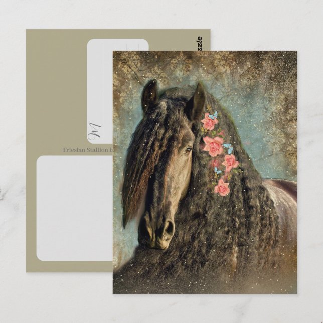 Friesian Horse - Postcard (Front/Back)