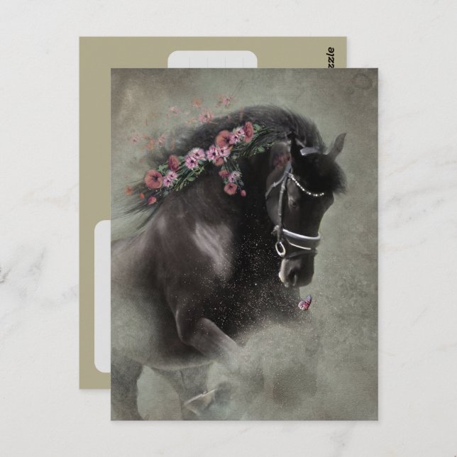 Friesian Horse - Postcard (Front/Back)