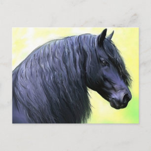 friesian horse postcard