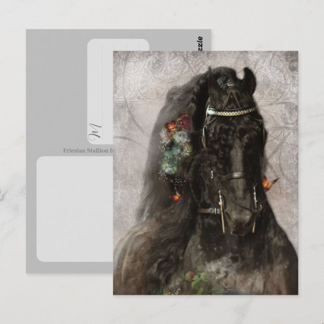 Friesian Horse - Postcard (Front/Back)