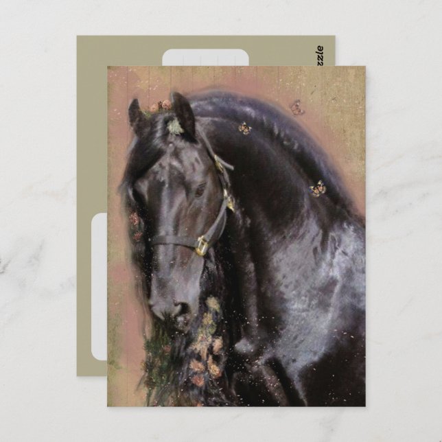 Friesian Horse - Postcard (Front/Back)