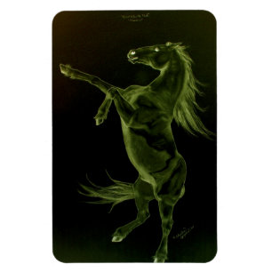 Friesian horse rearing Flexi Magnet