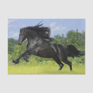 Friesian horse tissue paper