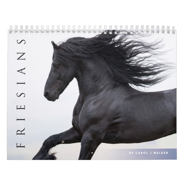 Friesian Horses Calendar (Cover)