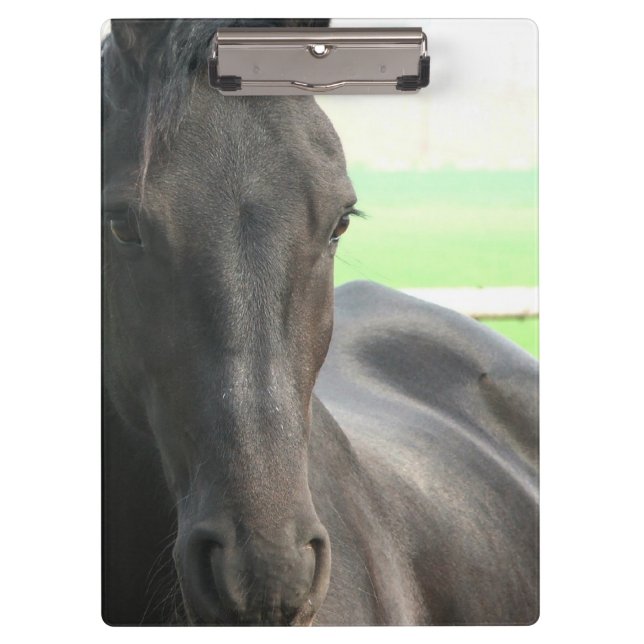 Friesian Horses Clipboard (Front)