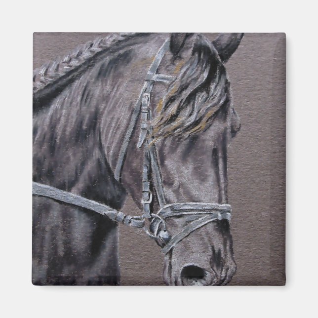 Friesian Magnet (Front)