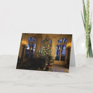 Friesian Mare Under the Tree Holiday Card