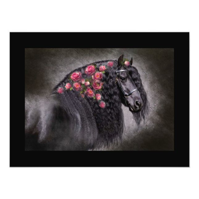 Friesian Portrait - Poster (Front)