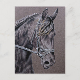 Friesian Postcard