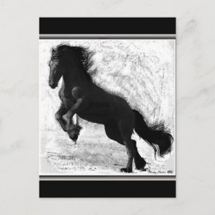 Friesian Power Postcard, customisable Postcard