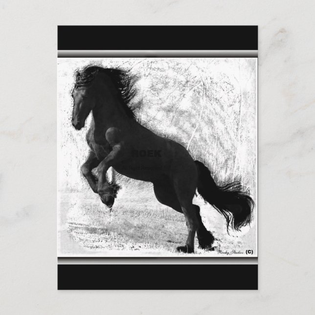 Friesian Power Postcard, customisable Postcard (Front)